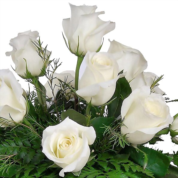 CULTIVA