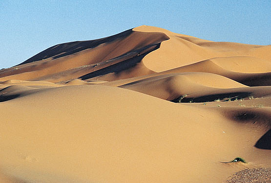 Desiertos Venezolanos
