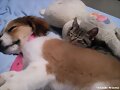 Dos chicas muy amigas... Feliz dia...
