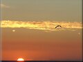 Atardecer
