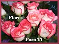 ***Con mucho cari&ntilde;o les deseo una Feliz Semana***