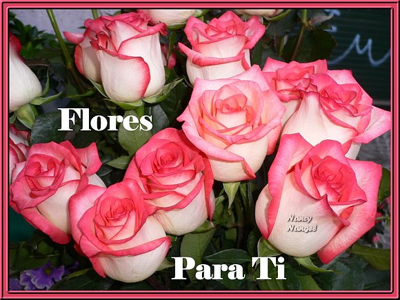 ***Con mucho cariño les deseo una Feliz Semana***