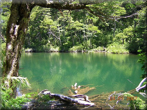 Parque Nacional Conguillo (Chile)
