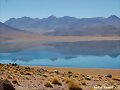 Laguna Miscanti