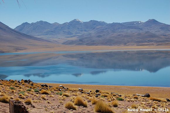 Laguna Miscanti