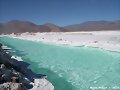 Salar de Maricunga (Chile)