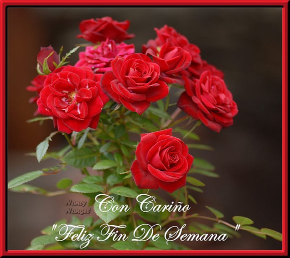 ***Con cariño les deseo un Feliz Fin de Semana***