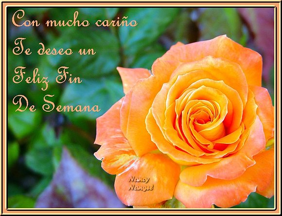 ***Con cariño Feliz Fin de Semana***