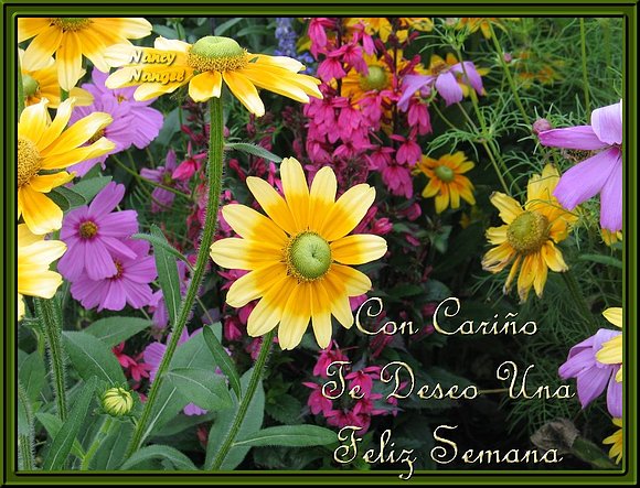 ***Con mucho cariño les deseo una Feliz Semana***