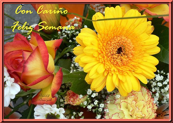 ***Con cariño les deseo una FELIZ SEMANA***
