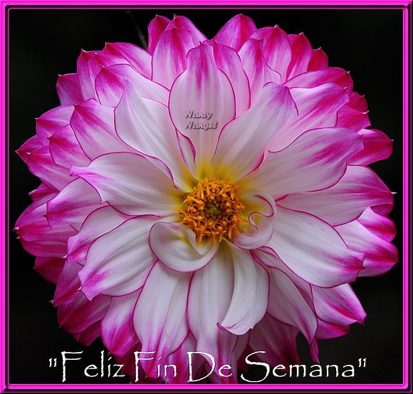 ***Con cariño les deseo un Feliz Fin De Semana***