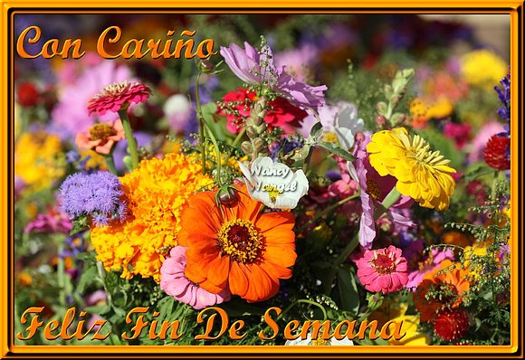 ***Con cariño les deseo un Feliz Fin De Semana***