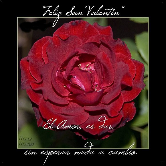 "Amor y Amistad"***Feliz San Valentín***