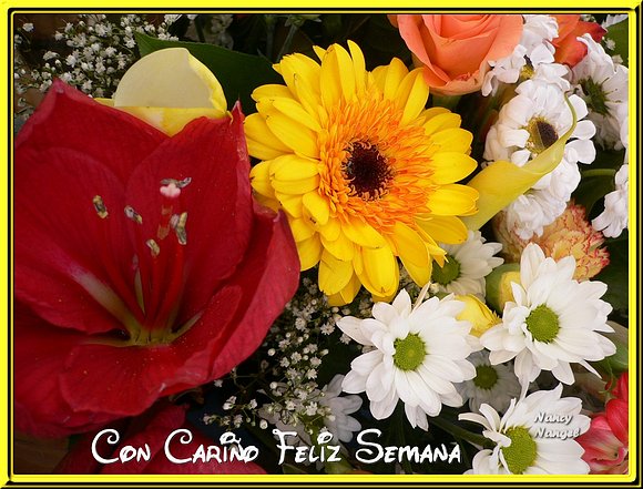 ***Con cariño les deseo una Feliz Semana***