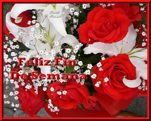 ***Con cariño les deseo un Feliz Fin de Semana***