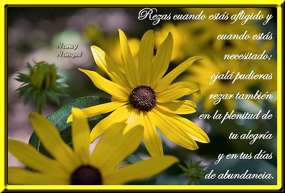 ***Con cariño  Feliz Semana***