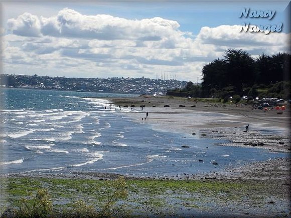 Puerto Montt  (Chile)