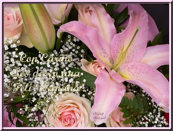 ***Con mucho cariño les deseo una Feliz Semana***