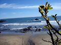Playa de Con Con   (Chile)