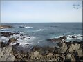 Isla Negra   (Chile)