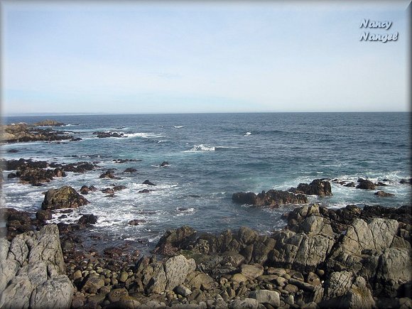 Isla Negra   (Chile)