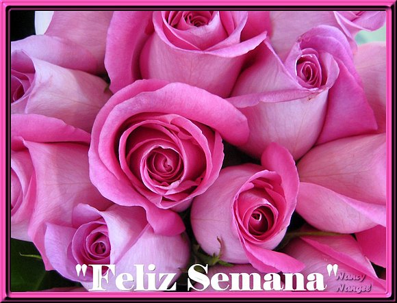 ***Con cariño les deseo una Feliz Semana***