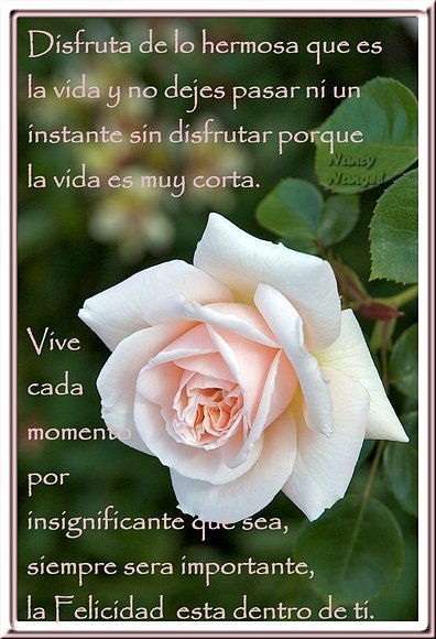***Feliz Martes con un abrazo de corazón***
