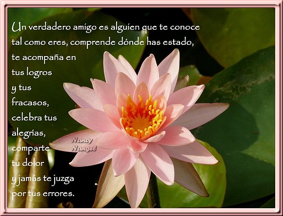 ***Feliz Viernes con besitos del alma***