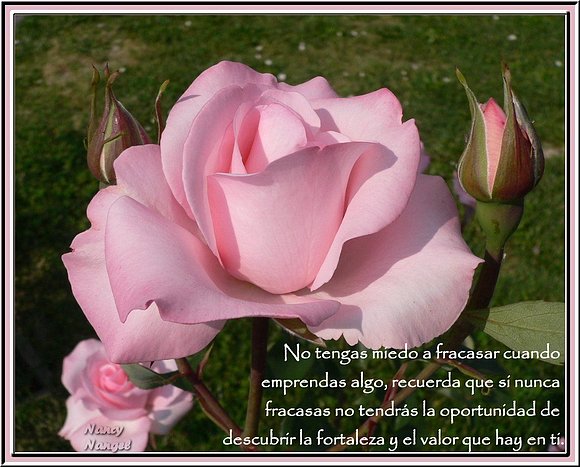 ***Con cariño les deseo un Feliz Fin de Semana***