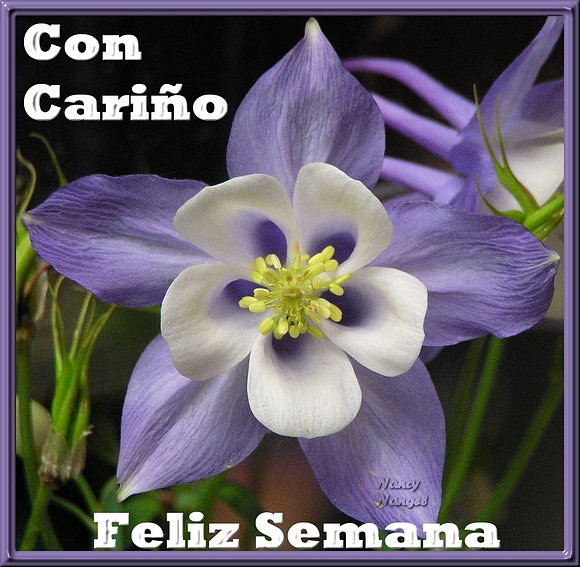 ***Con cariño les deseo una Feliz Semana***