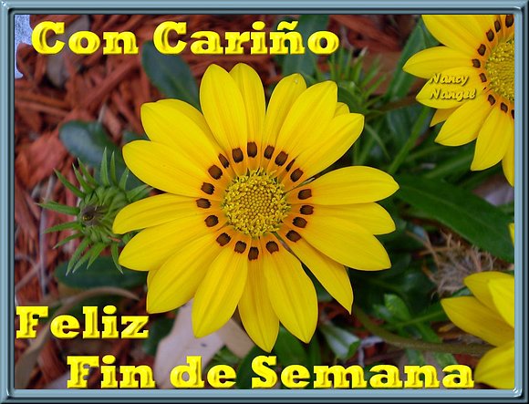***Con cariño les deseo un Feliz Fin de Semana***