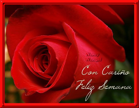 ***Con mucho cariño les deseo una Feliz Semana***