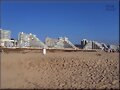 Algarrobo   (Chile)