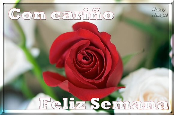 ***Con cariño les deseo una FELIZ SEMANA***