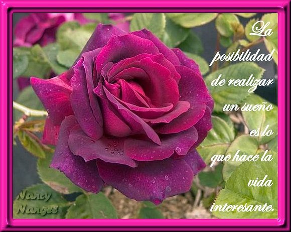 ***Con cariño les deseo una Feliz  Semana***