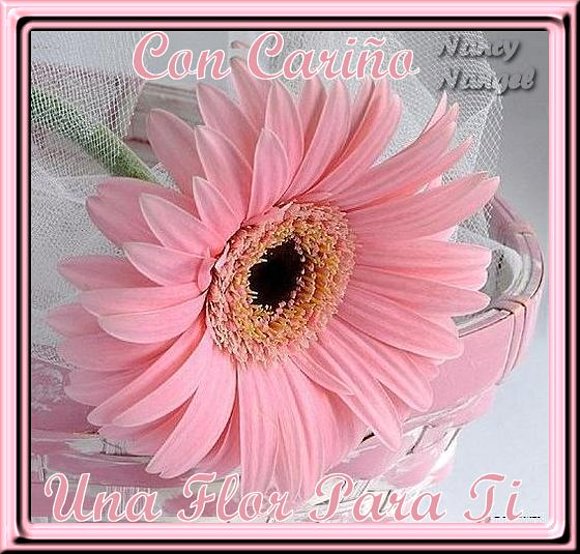 ***Con cariño te deseo una Feliz Semana***