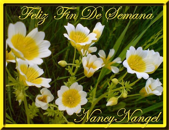 ***Con cariño Feliz Fin de Semana***