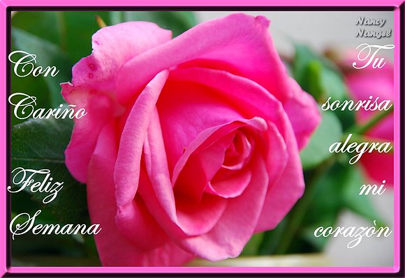 ***Con mucho cariño te deseo una Feliz Semana***