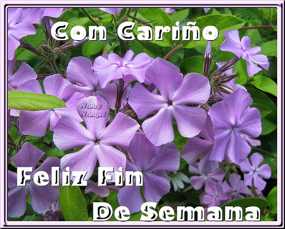 ***Con mucho cariño Feliz Fin de Semana***