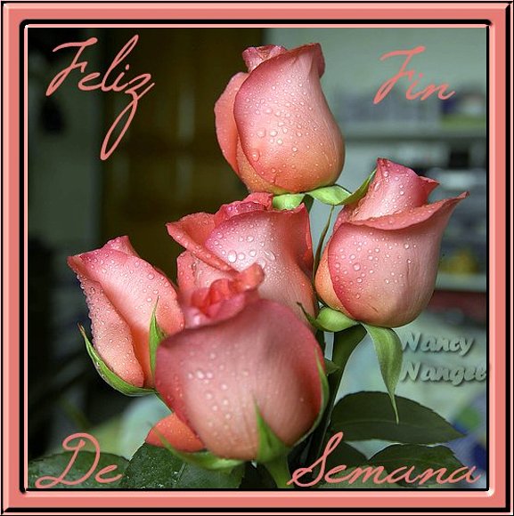 ***Con cariño les deseo un Feliz Fin de Semana***