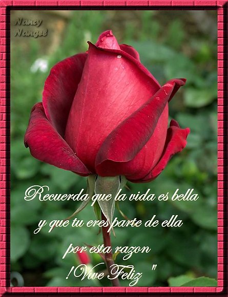 **Con todo mi cariño les deseo una Feliz Semana***