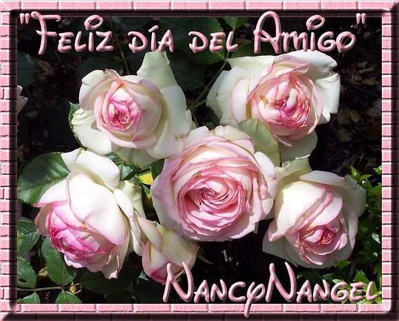 ***Feliz Día del Amigo/a*** Gracias por su Amistad