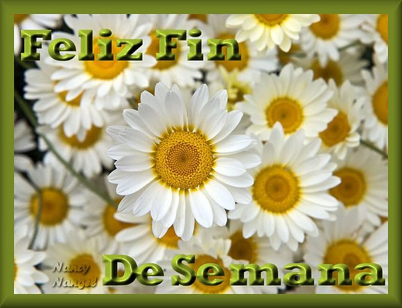 ***Les deseo con cariño un Feliz Fin de Semana***