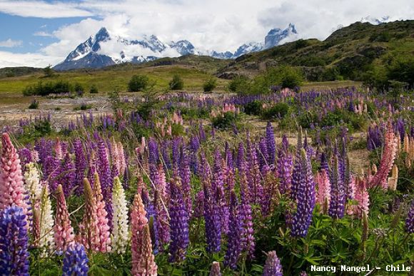 Parque Torres del Paine (Chile)