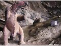 Cueva del Milodon