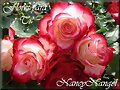 ***Feliz D&iacute;a a todas las Madres del mundo***