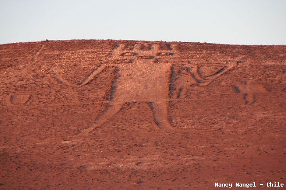 Gigante de Atacama
