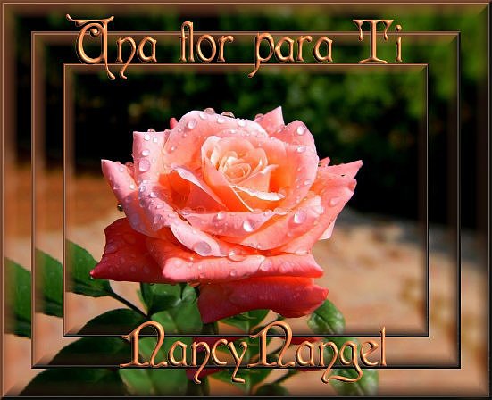 Pensamiento Positivo