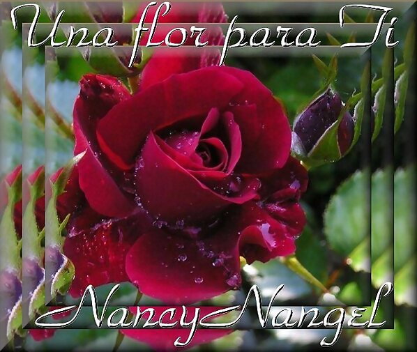Pensamiento Positivo