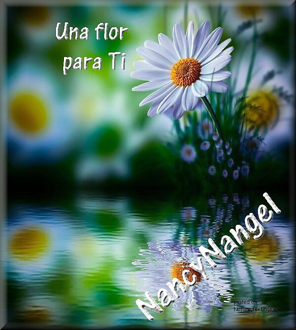 Pensamiento Positivo